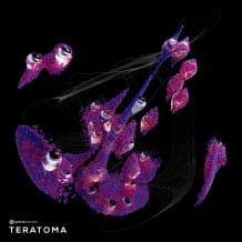 Cover art for Teratoma pack