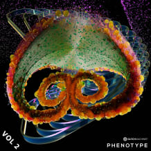 Cover art for Phenotype Vol. 2 pack