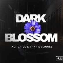 Cover art for Dark Blossom: Alt Drill & Trap Melodies pack
