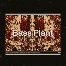 Cover art for Bass Plant pack