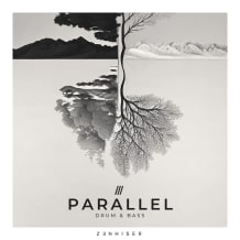 Cover art for Parallel - Drum & Bass pack