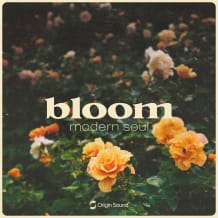 Cover art for bloom - modern soul pack