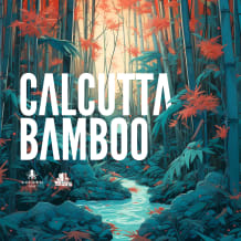 Cover art for Calcutta Bamboo by Basement Freaks pack