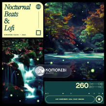 Cover art for Nocturnal Beats & Lofi pack