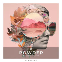 Cover art for Powder pack