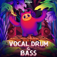 Cover art for Vocal Drum & Bass pack