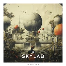 Cover art for Skylab pack