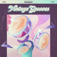 Cover art for Vintage Grooves pack