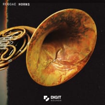 Cover art for Digit Sounds - Reggae Horns pack