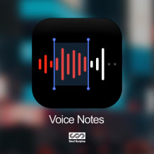 Cover art for Voice Notes pack