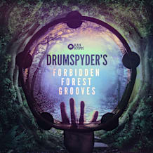 Cover art for Drumspyder's Forbidden Forest Grooves pack