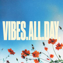 Cover art for VIBES. ALL. DAY.  pack