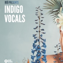 Cover art for Indigo Vocals by Beò pack