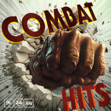 Cover art for Combat Hits pack