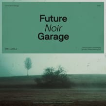 Cover art for Noir - Future Garage pack