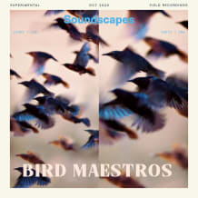 Cover art for Bird Maestros pack