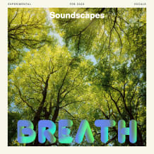 Cover art for Breath pack