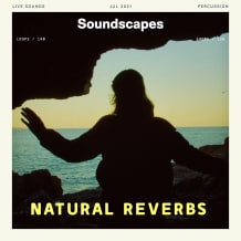 Cover art for Natural Reverbs pack