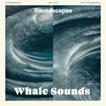 Cover art for Whale Sounds pack