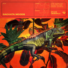 Cover art for Bachata Moods pack