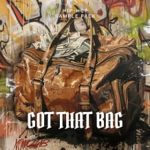 Cover art for Got That Bag  pack