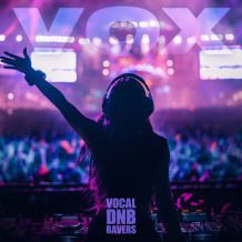 Cover art for Vocal DnB Ravers pack