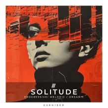 Cover art for Solitude pack