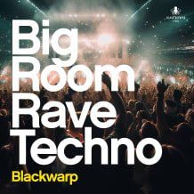 Cover art for Bigroom Rave Techno pack