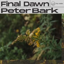 Cover art for Peter Bark - Final Dawn pack