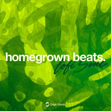 Cover art for homegrown beats. - lofi soul pack