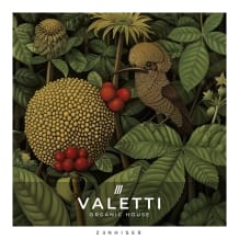 Cover art for Valetti - Organic House pack