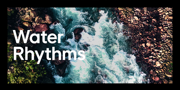 Video thumbnail for The rhythms of our freshwater ecosystems captured