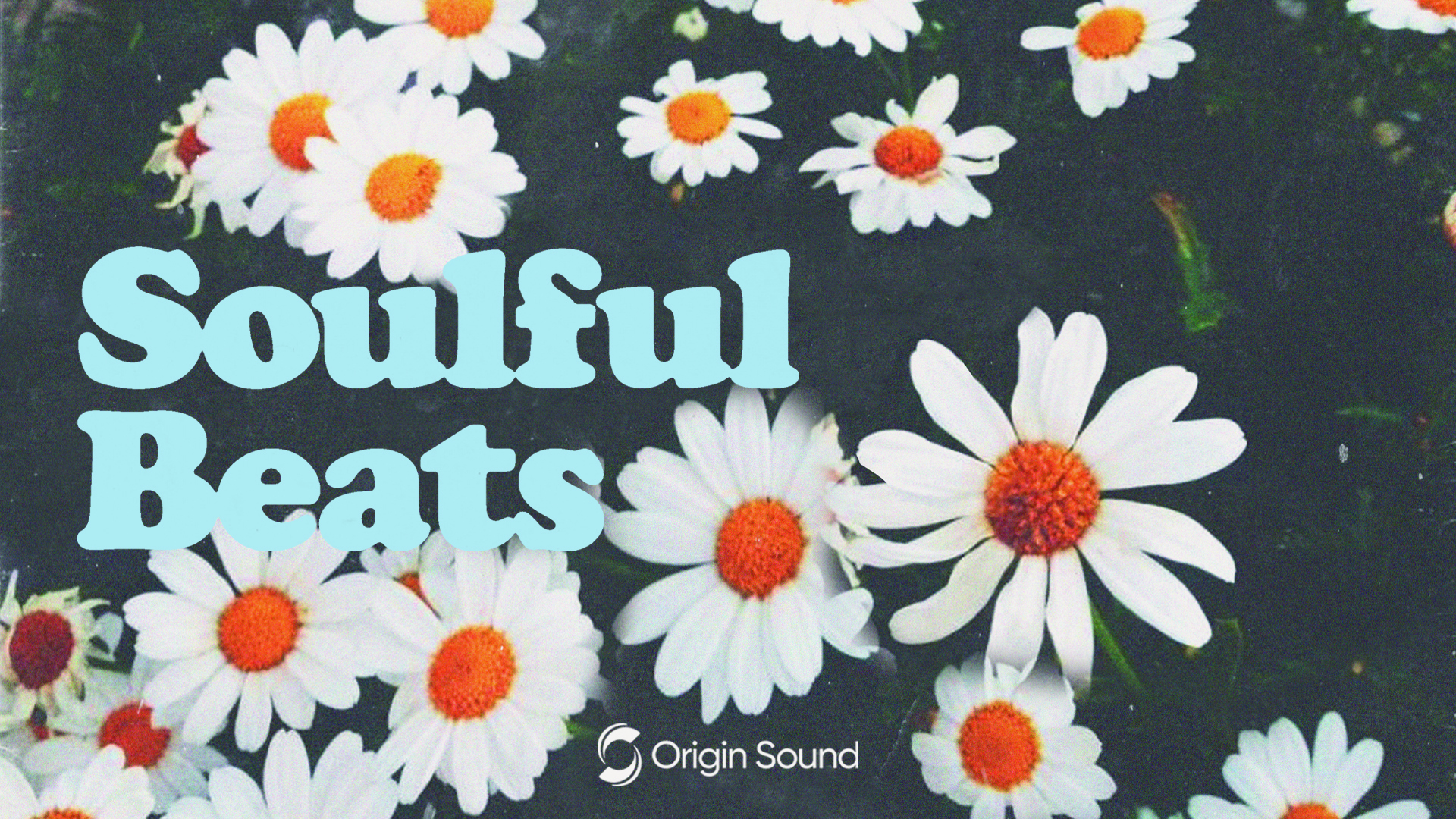 Charismatic drum grooves & melodies with R&B vibes