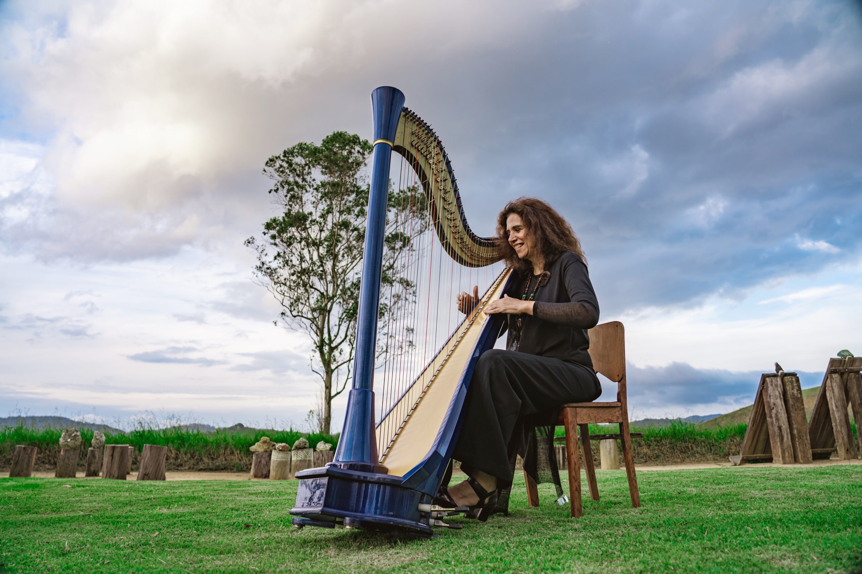 On Becoming A Professional Harpist with Cristina Braga